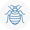 Bed Bug Extermination In N8