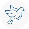 Bird Prevention N8