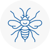 N8 Hornet Nest Removals