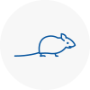 Mice Exterminators In N8
