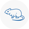 Rat Control N8