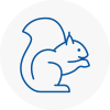 N8 Rodent Removals