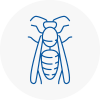 N8 Wasp Nest Removal